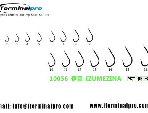 10056 IZUMEZINA